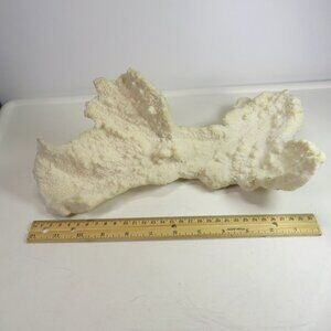 (1) solid Piece of REAL Coral over 3lbs & 13" long